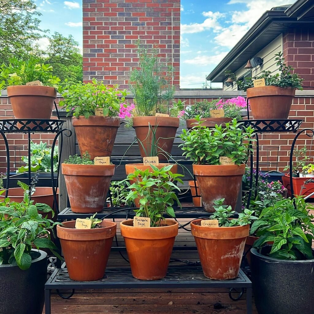 11. Terracotta Pot Tiered Display
