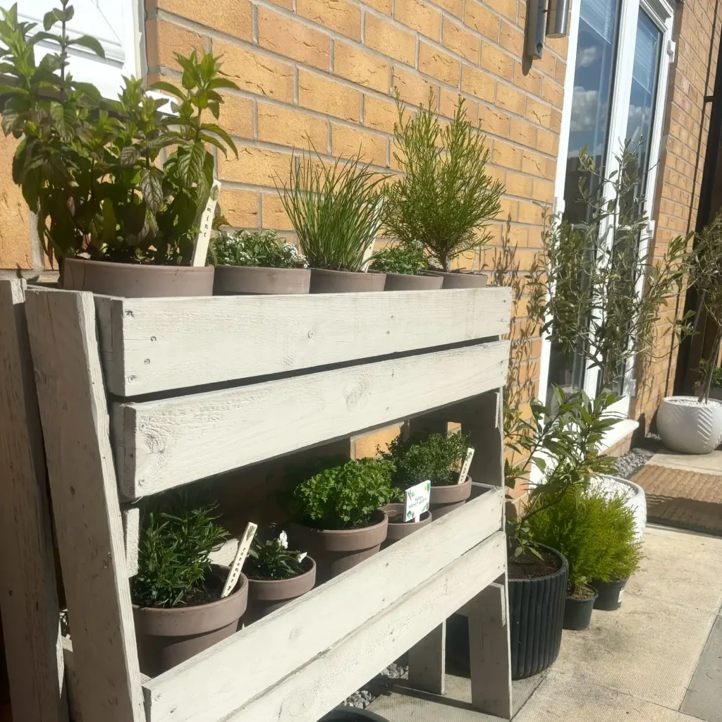 4. Whitewashed Pallet Shelf Planter