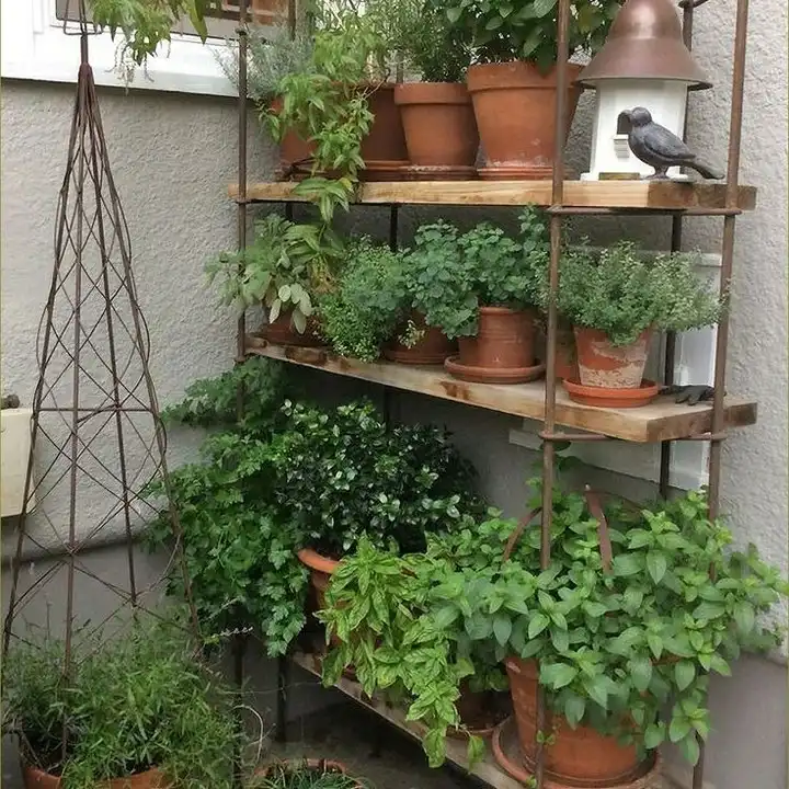 5. Rustic Iron Shelf Herb Stand