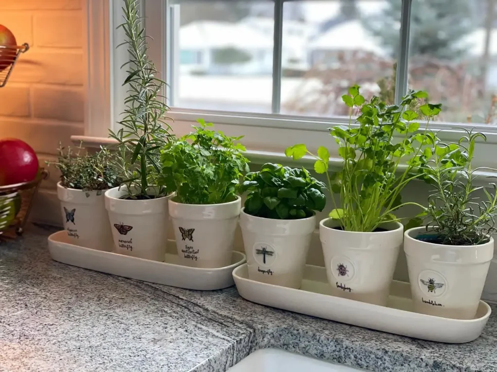 9. Countertop Ceramic Pot Set