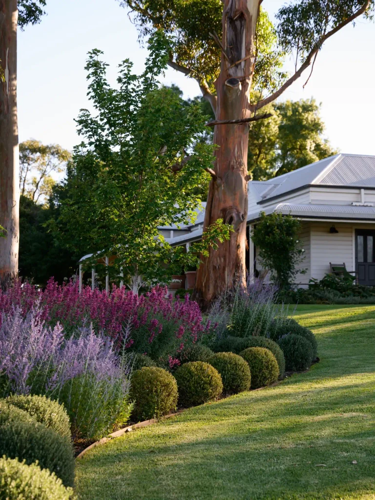 1. Layered Border Garden with Native Trees 768x1024 1