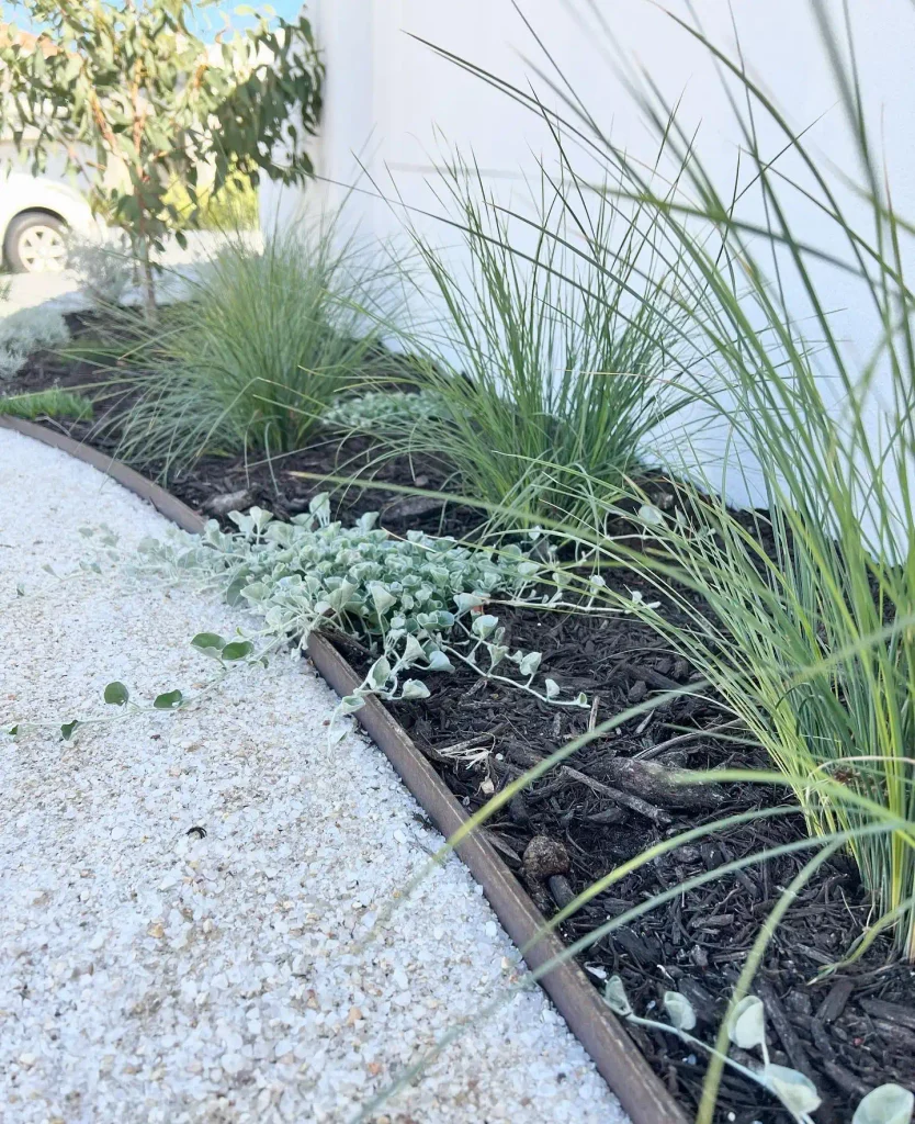 15. White Pebble Driveway Edge with Ornamental Grasses