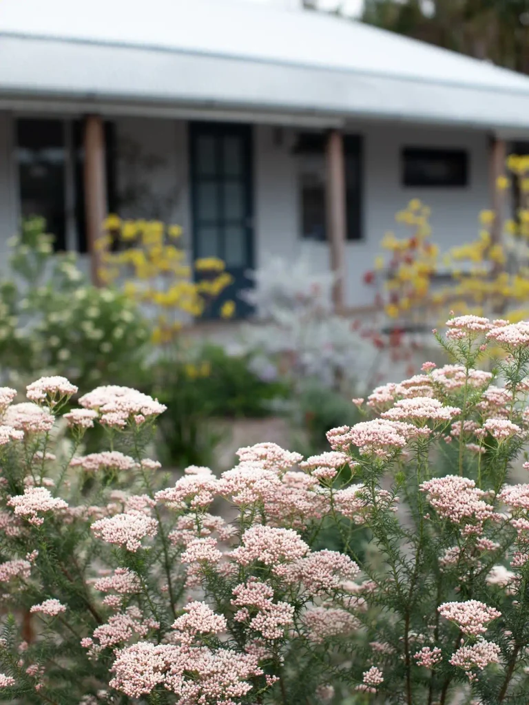 16. Soft Pink Native Flowers Framing a Cottage Entrance 768x1024 1